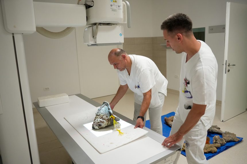 KAD MEDICINA POMAŽE ARHEOLOGIJI: RENDGEN ZAVIRIO U PROŠLOST KAD MEDICINA POMAŽE ARHEOLOGIJI: RENDGEN ZAVIRIO U PROŠLOST