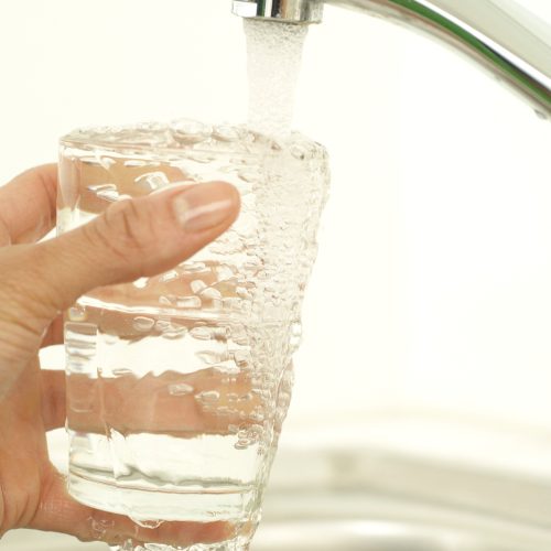 NEMA POVEĆANOG BROJA SLUČAJEVA SALMONELE NEMA POVEĆANOG BROJA SLUČAJEVA SALMONELE
